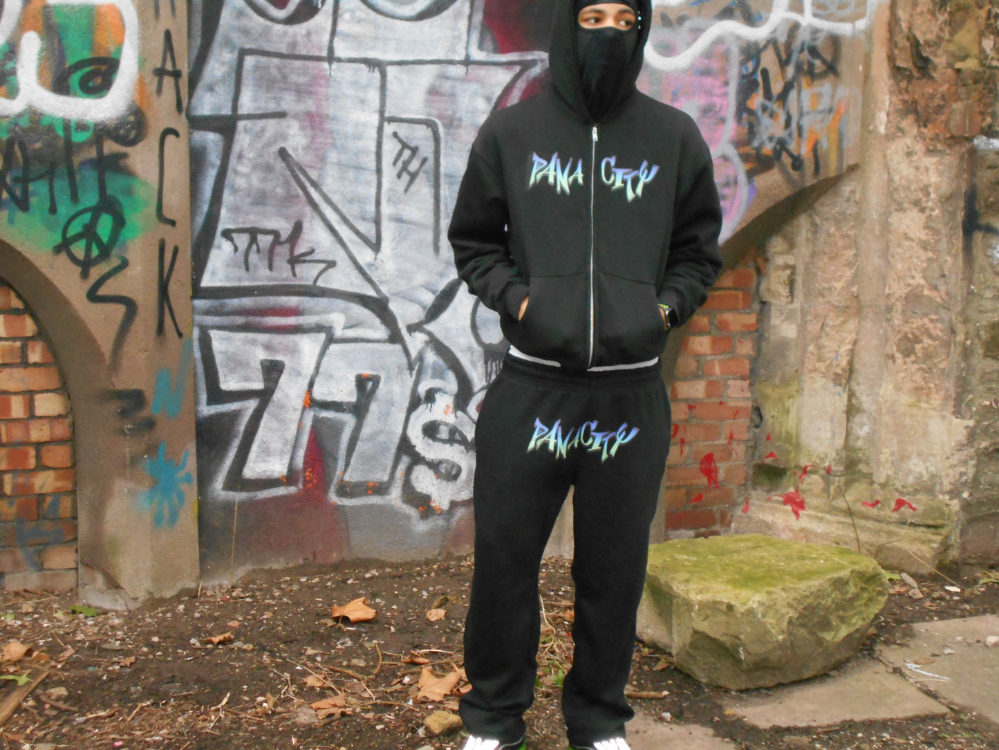 Panacity Origin Zip Hoodie