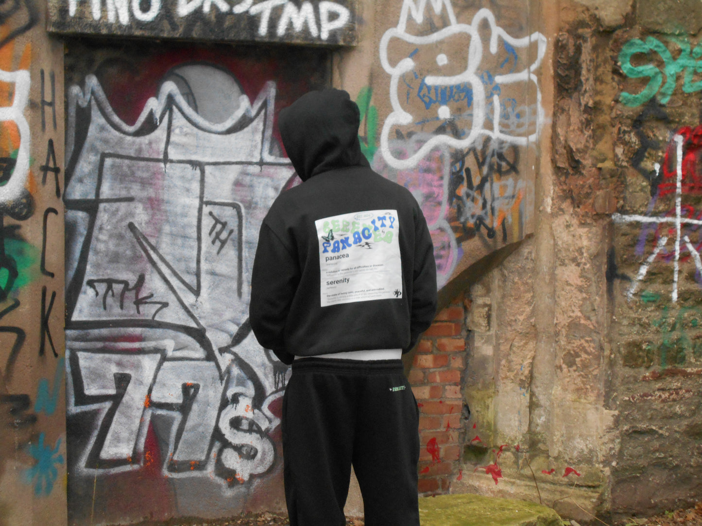 Panacity Origin Zip Hoodie
