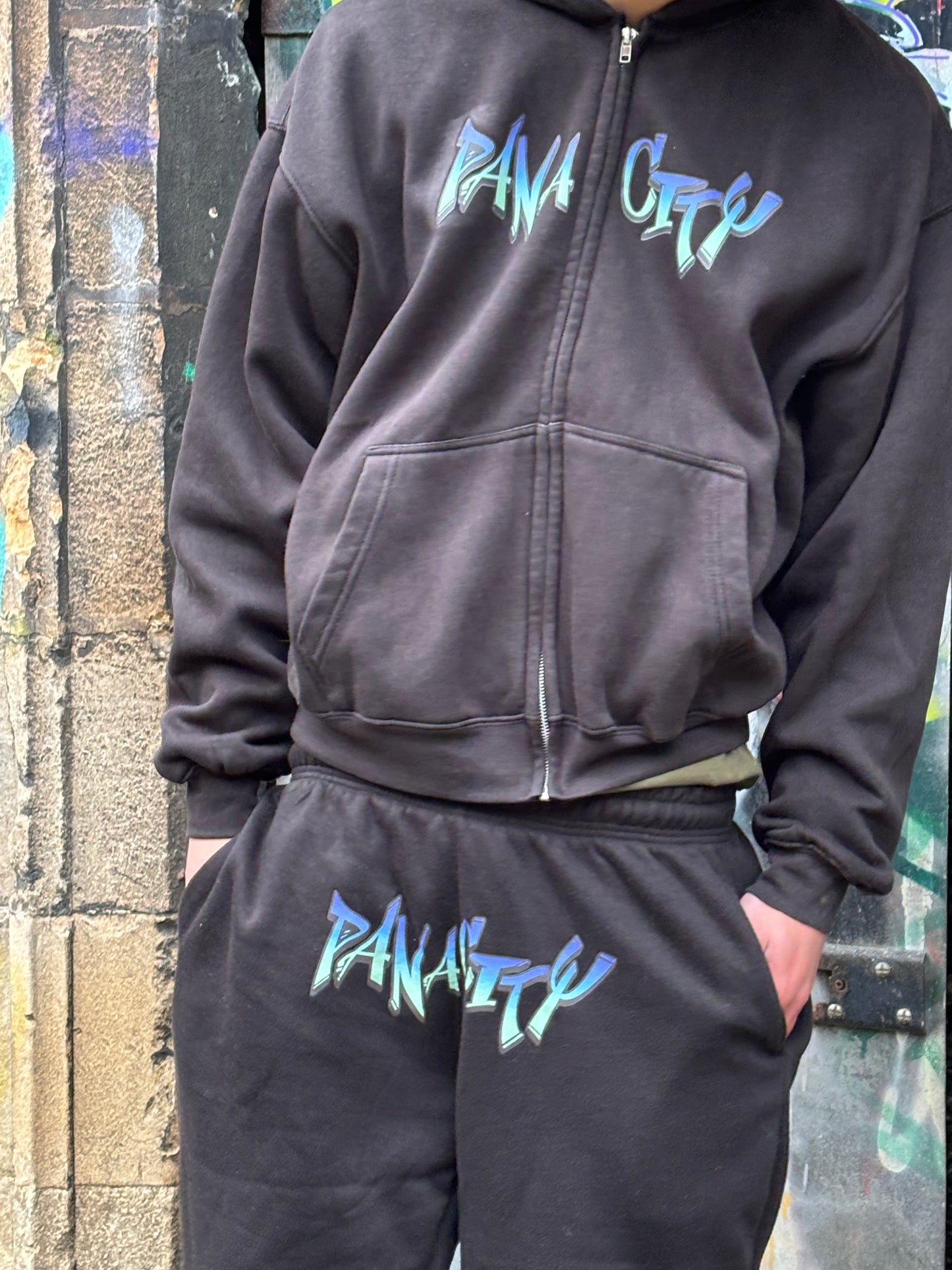 Panacity Origin Zip Hoodie