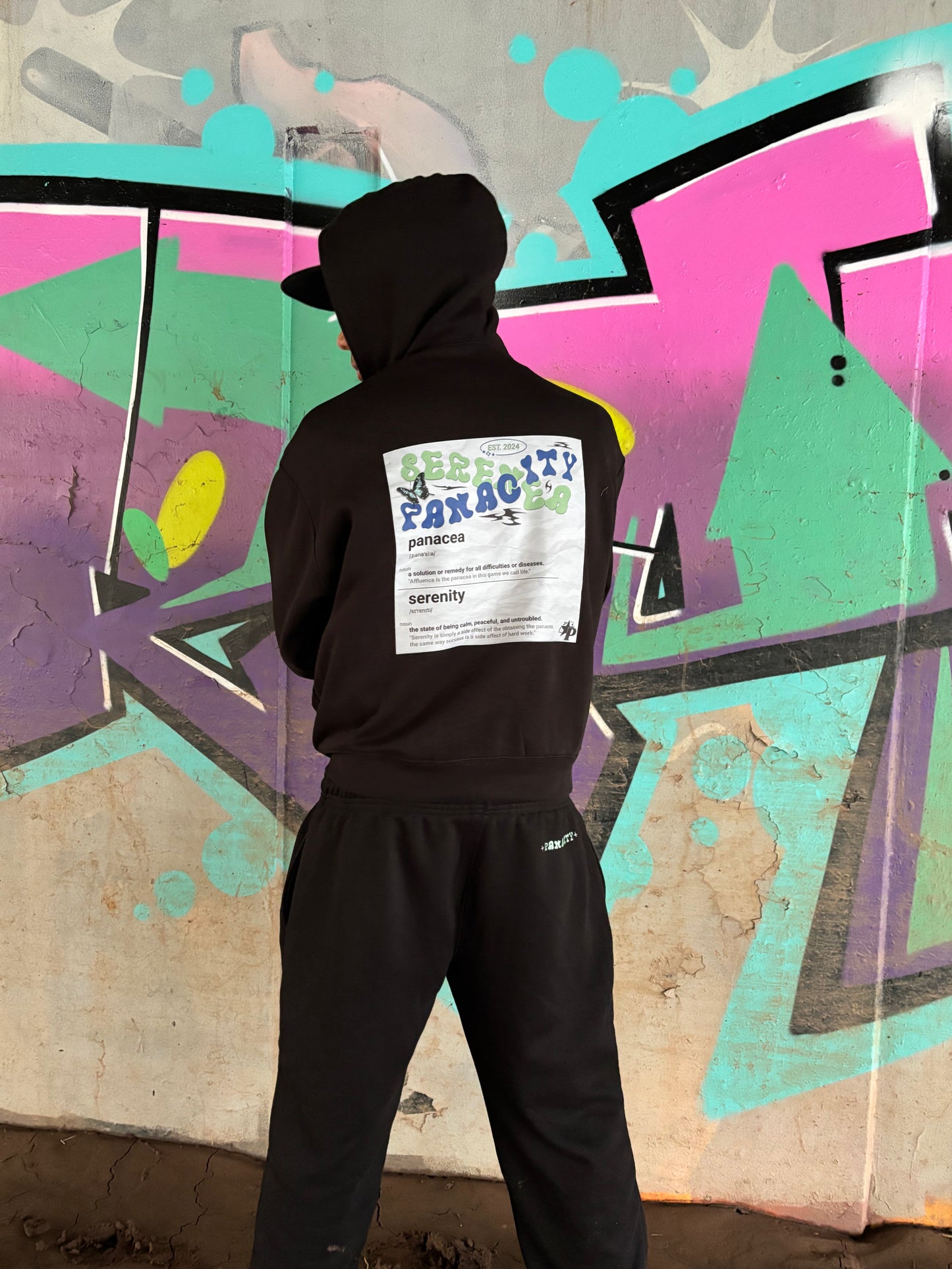 Panacity Origin Zip Hoodie