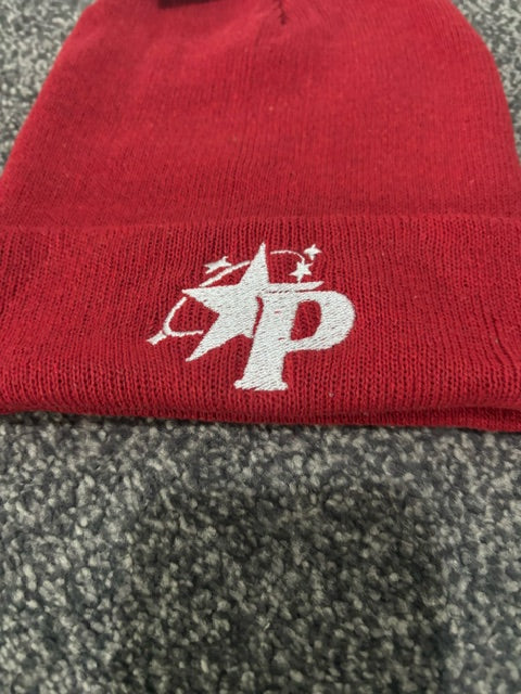 Panacity Beanie