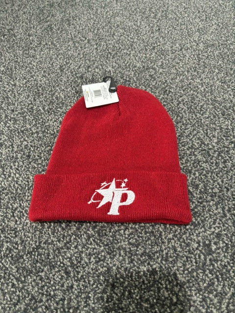 Panacity Beanie
