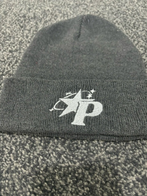 Panacity Beanie