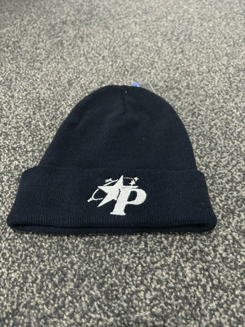 Panacity Beanie