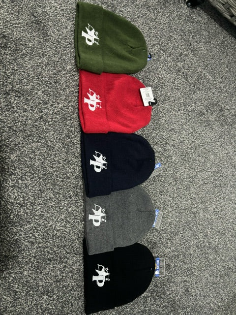 Panacity Beanie