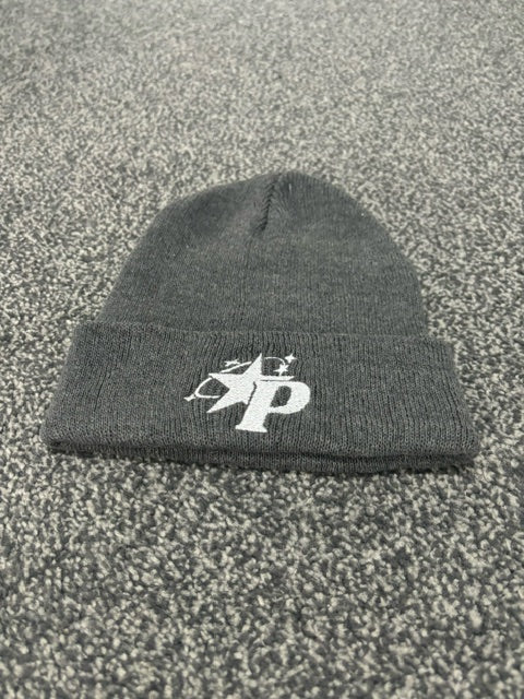 Panacity Beanie
